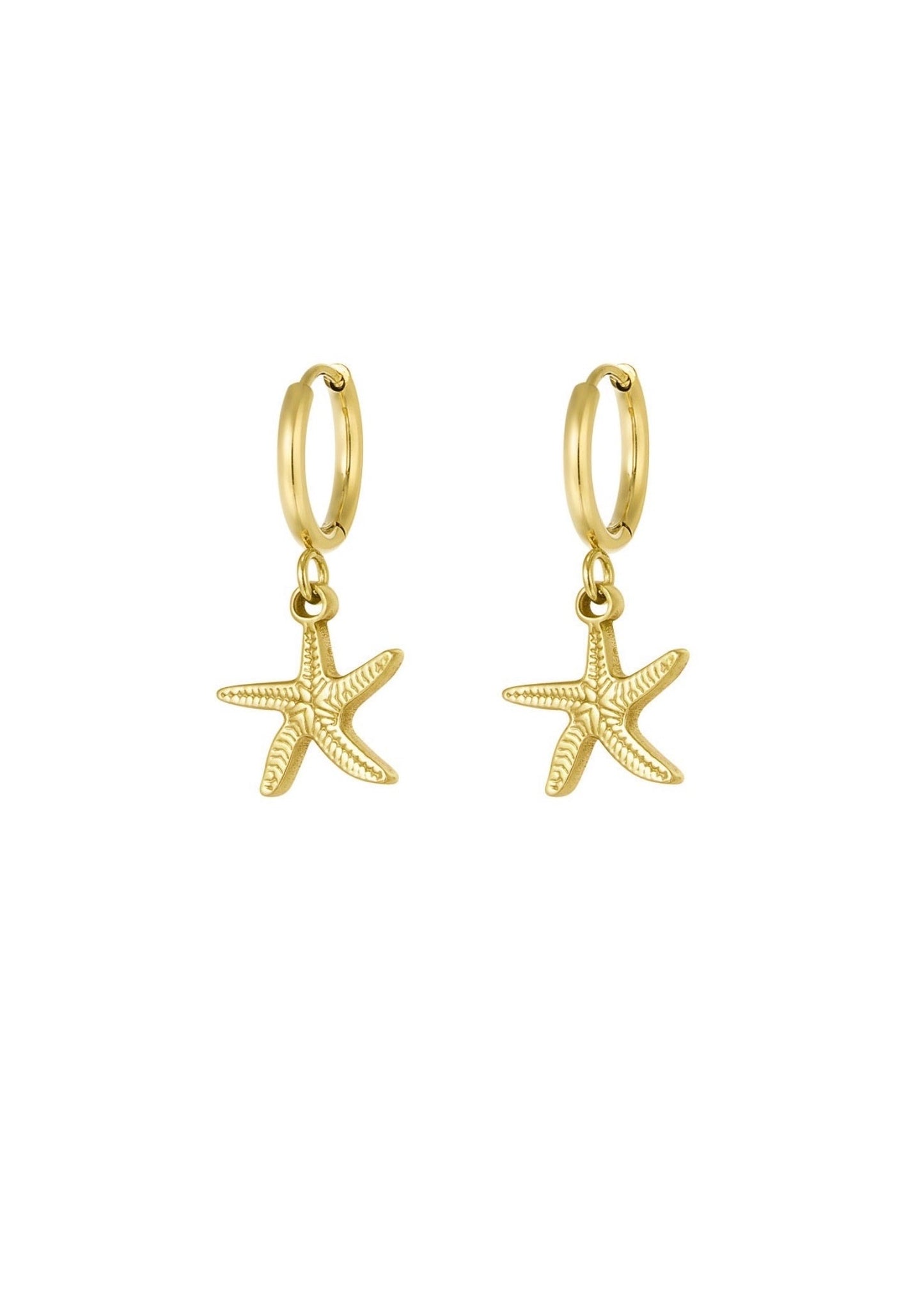 STARFISH OORBELLEN GOUD
