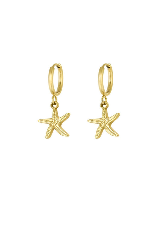 STARFISH OORBELLEN GOUD